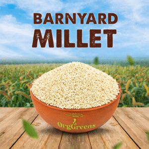 kuthiraivali (barnyard millet)