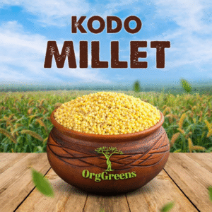 varagu (kodo millet)